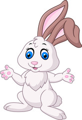Cute little bunny 