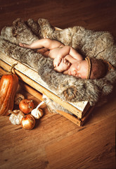 Newborn sleeping baby in wooden box with sunflower and onion. Cute newborn girl with pumpkin and fur.