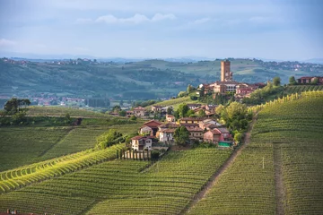 Fotobehang Panorama van de wijngaarden van Piemonte en de stad Barbaresco © javarman