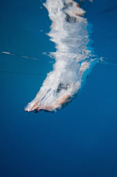 Breaking the surface. Diver entering the water. Underwater shot