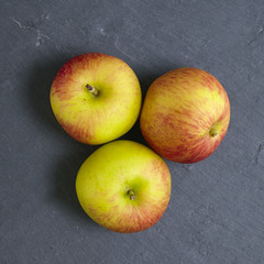 Red apples on a rustic slate background