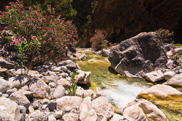 Naklejka na ściany i meble Mountain creek through the rocky soil of Samaria gorge, island of Crete, Greece