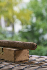 One cigar lies on the box on the wicker mat with green leaves as background