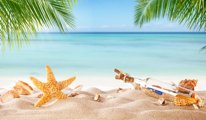Fototapeta na wymiar Tropical beach with various shells in sand