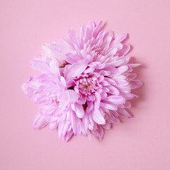 Pink flower arrangement on a pink background