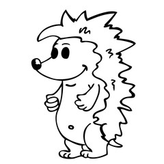 black and white hedgehog standing