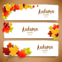 Colorful autumn leaves of banners