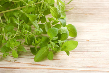 fresh oregano on a wooden background