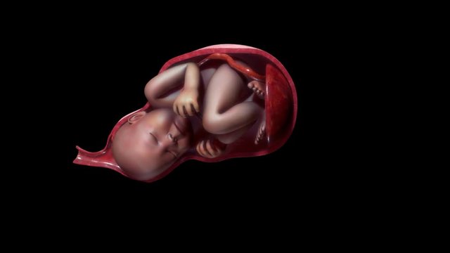 Labor and vaginal birth