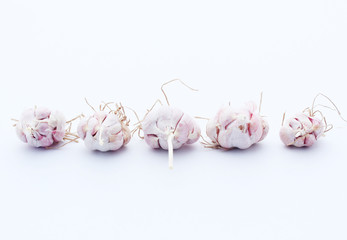 Garlic isolated on white background