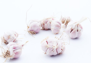 Garlic isolated on white background