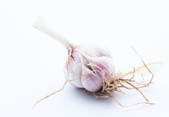 Garlic isolated on white background