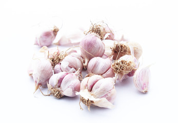 Garlic isolated on white background