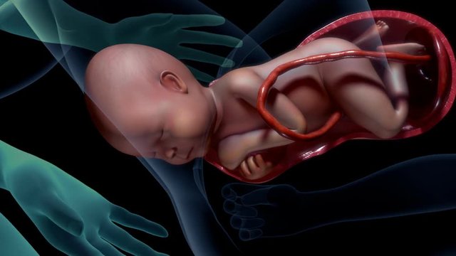 Labor and vaginal birth