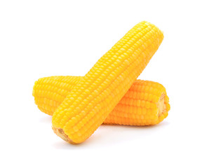 corn isolated on white background