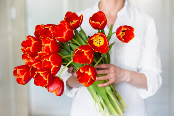 
Large beautiful bouquet of red tulips in the hands of a girl in a white shirt