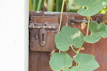 Rusted metal texture