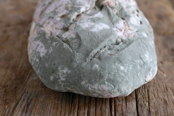 Loaf of bread with green and white mold