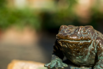 Frosch Skulptur in Oppenheim