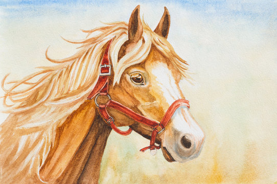 watercolor horse head illustration