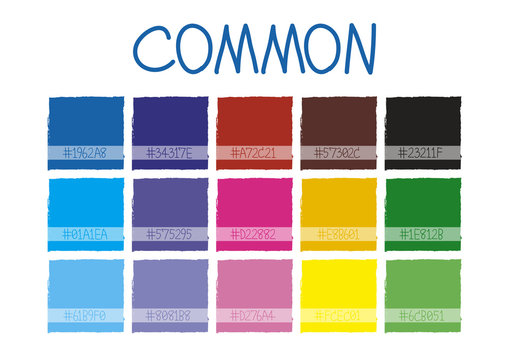 Common Color Tone with Code Vector Illustration