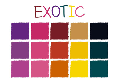 Exotic Color Tone without Code Vector Illustration
