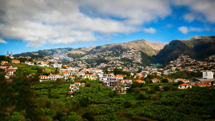 Fototapeta na wymiar Funchal's suburb
