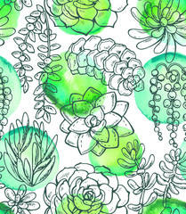 Vector seamless pattern with hand drawn succulent plants