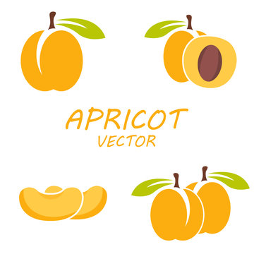 Vector flat apricot icons set