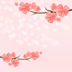Flowers background. Flowers design. Vector abstract illustration. Sakura blossoms. Branch of sakura with flowers. Cherry blossom branch on pink. Vector