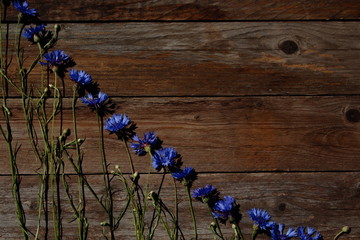 Chabry na drewnianym tle. © trojan74