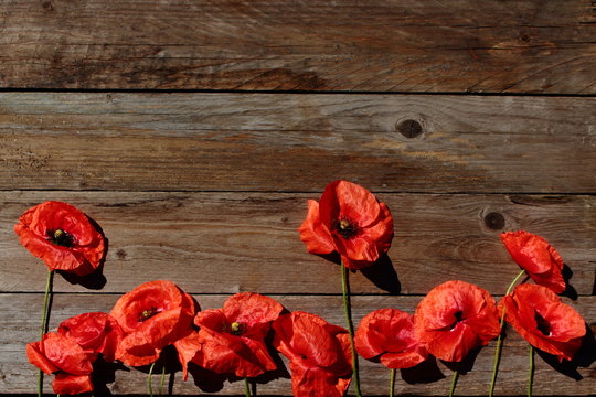 Fototapeta Czerwone maki na tle z drewna.