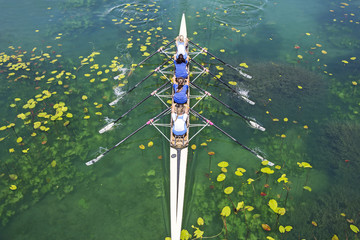 Four women rowing on the tranquil lake