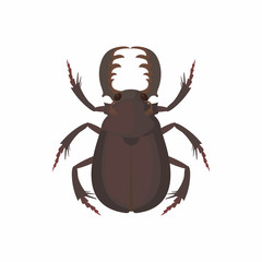 Bug icon, cartoon style