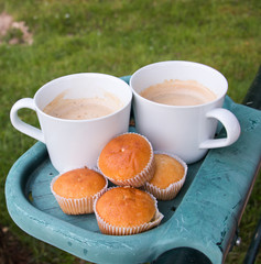 Two coffee cups and cupcakes in plastic holder