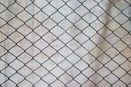 The mesh fence background.