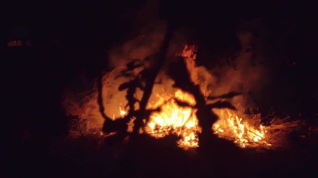 Slow motion shot of bonfire
