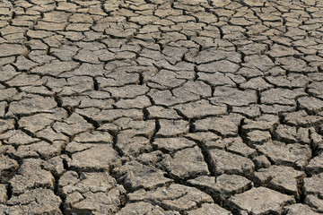 Cracked earth and dry soil texture.