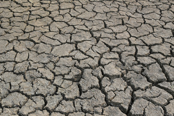 Cracked earth and dry soil texture.