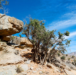 in oman  the old mountain gorge and canyon the deep cloudy  sky