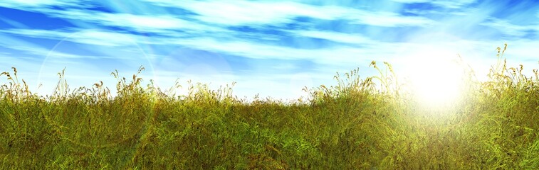 green grass on a blue sky
