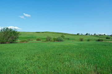 North Russian village