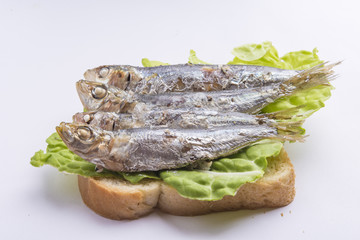 fried sardines on the plate