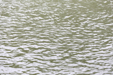 surface of the water and have ripple wave.