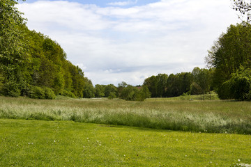 Fototapeta na wymiar Spring landscape with meadow