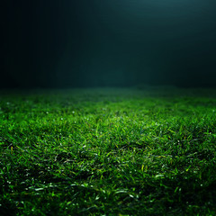 Natural green grass background with selective focus. ..Abstract