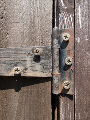 Rusty old iron hinge on timber garden shed door