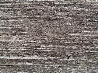 Timber grained textured background
