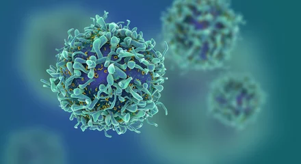 Foto op Aluminium Cg render of t-cells or cancer cells © fusebulb