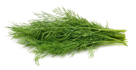 A bunch of fresh dill 